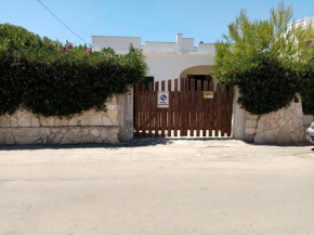 Villa aloe